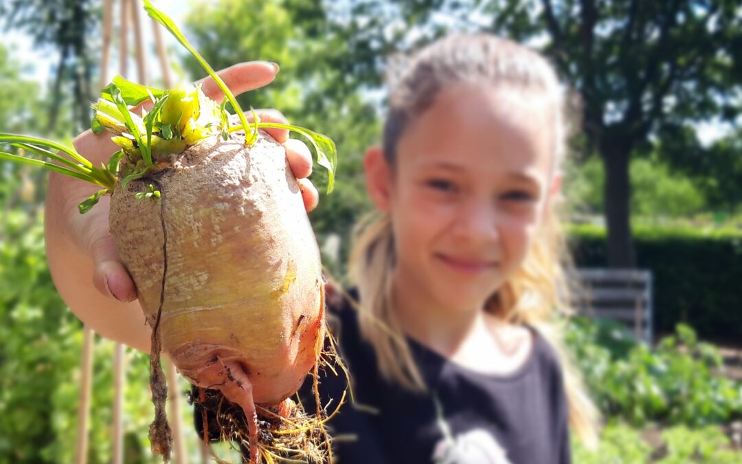 Tuinieren voor kinderen bij de stadsboerderij de Korenmaat