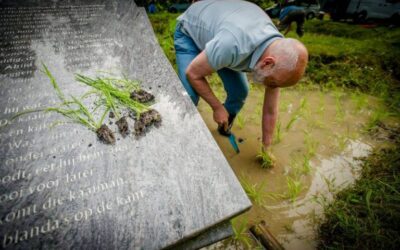 Rijstplantdag van stichting Sawah Belanda